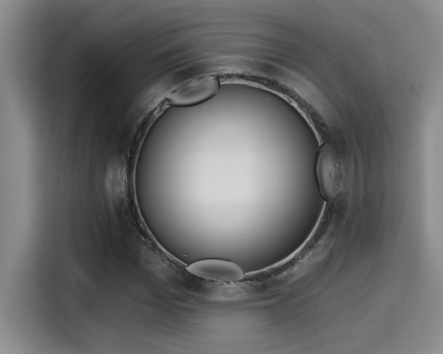 X0000115250969200911061215