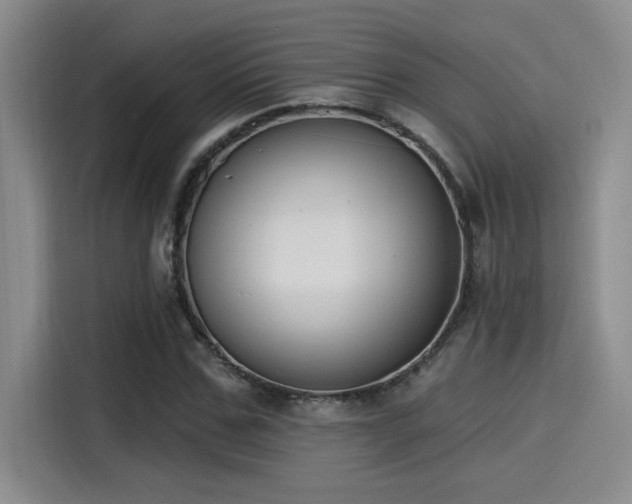X0000115250971200911061215