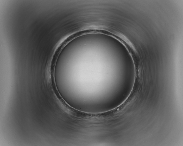 X0000115250972200911061215