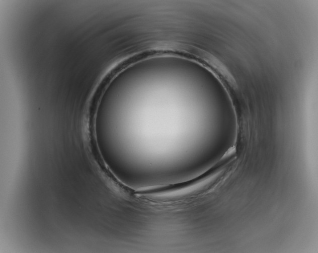 X0000115250976200911061215