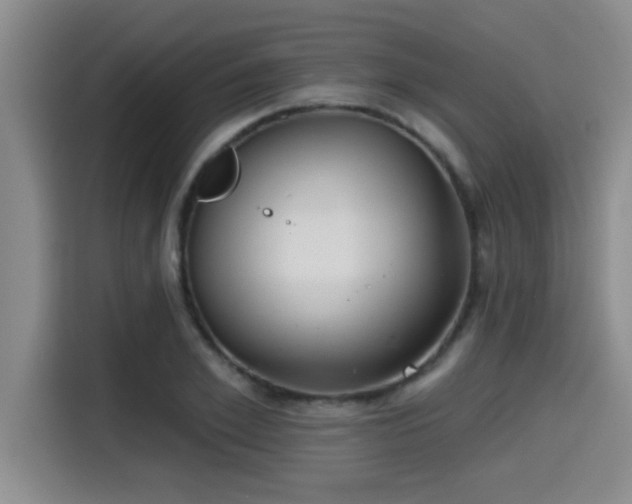 X0000115250981200911061215