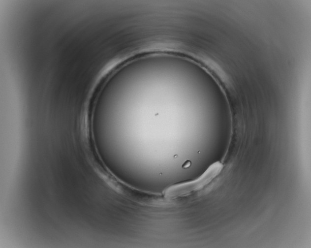 X0000115250982200911061215