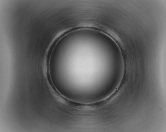 X0000115250984200911061215
