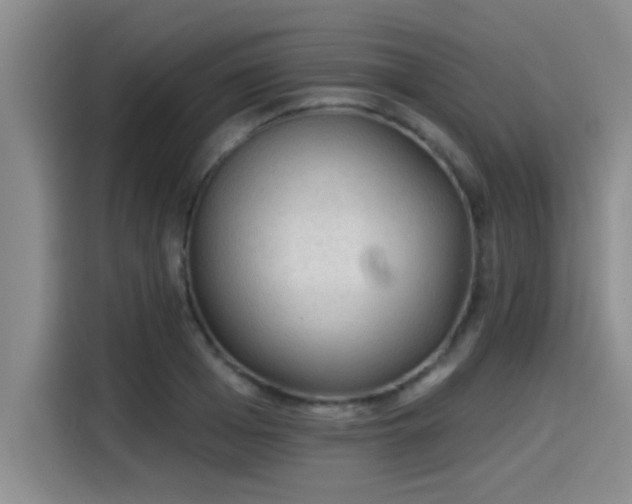 X0000115250985200911061215