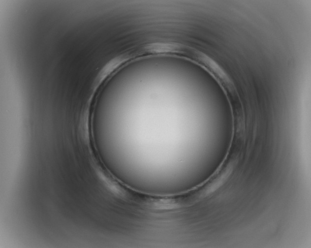 X0000115250986200911061215