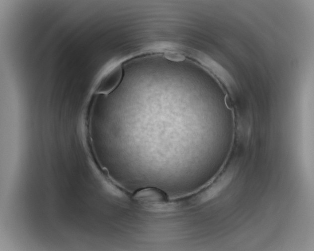 X0000115250989200911061215
