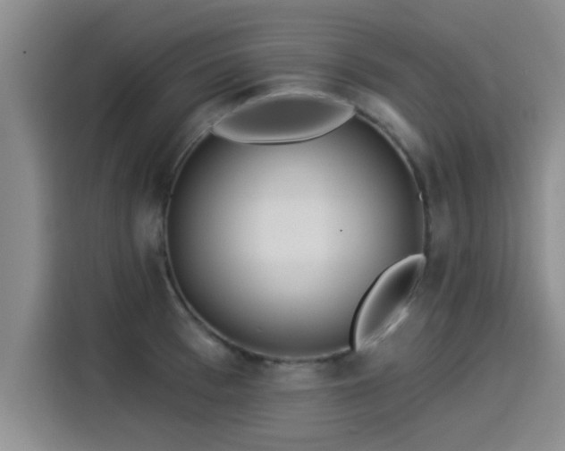 X0000115250993200911061215