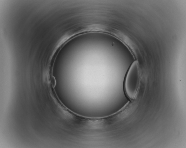 X0000115250997200911061215