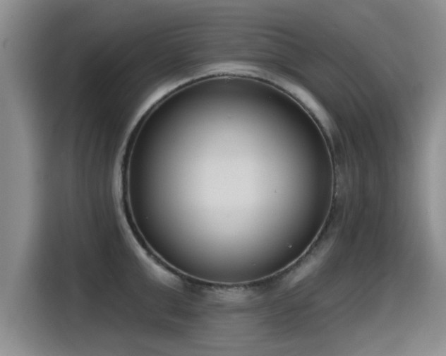 X0000115250999200911061215