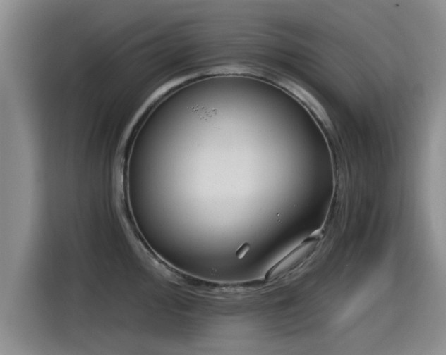 X0000115251000200911061215