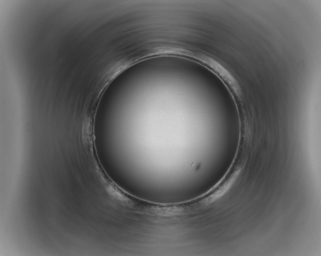 X0000115251001200911061215