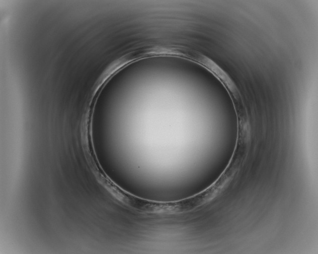 X0000115251002200911061215