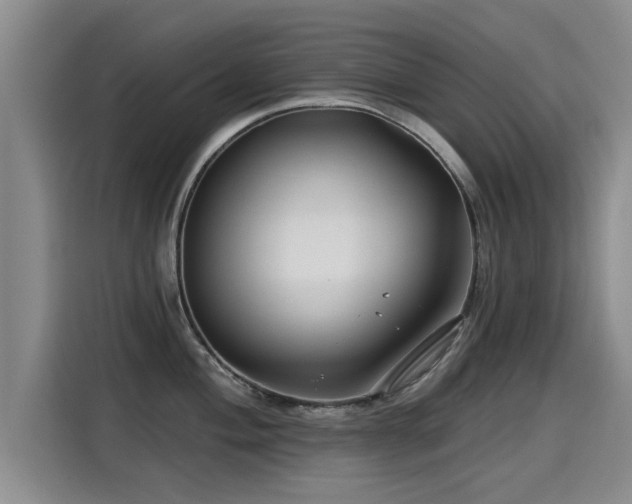 X0000115251004200911061215