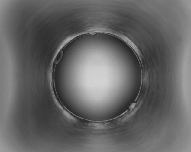 X0000115251005200911061215