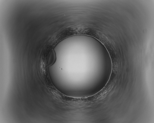 X0000115251010200911061214