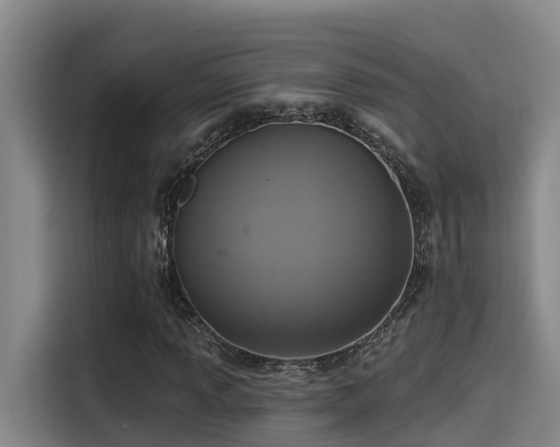 X0000115251013200911061214
