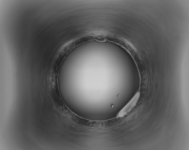 X0000115251016200911061214