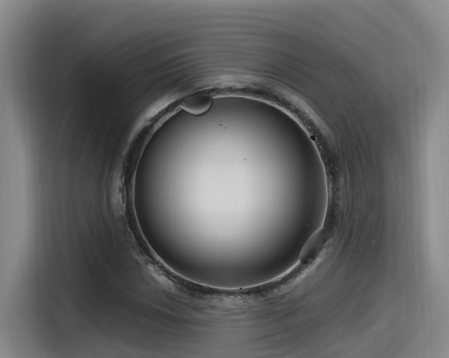 X0000115251018200911061214