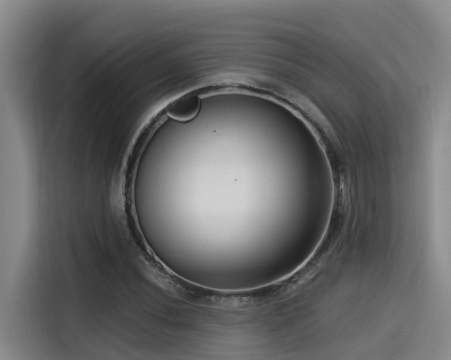 X0000115251020200911061214