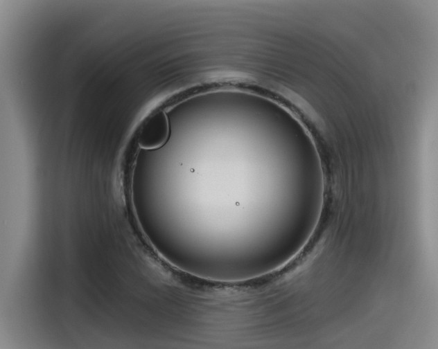 X0000115251022200911061214