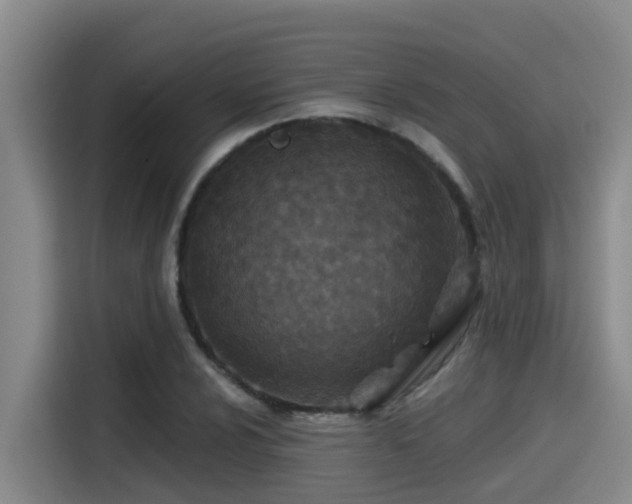 X0000115251024200911061214