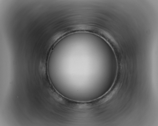 X0000115251025200911061214