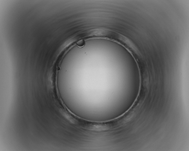 X0000115251026200911061214