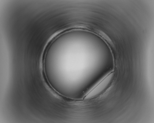 X0000115251028200911061214