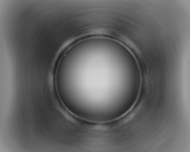 X0000115251029200911061214