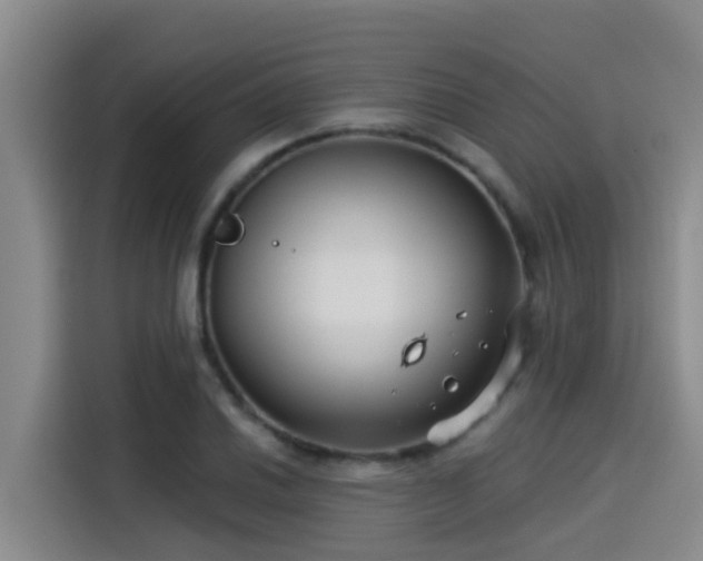 X0000115251030200911061214