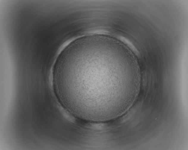 X0000115251031200911061214