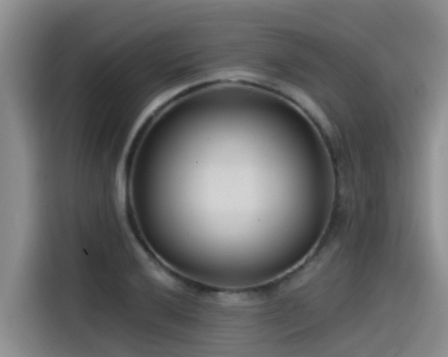 X0000115251032200911061214