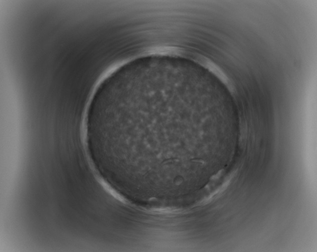 X0000115251037200911061214