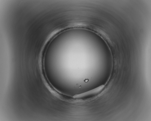 X0000115251038200911061214