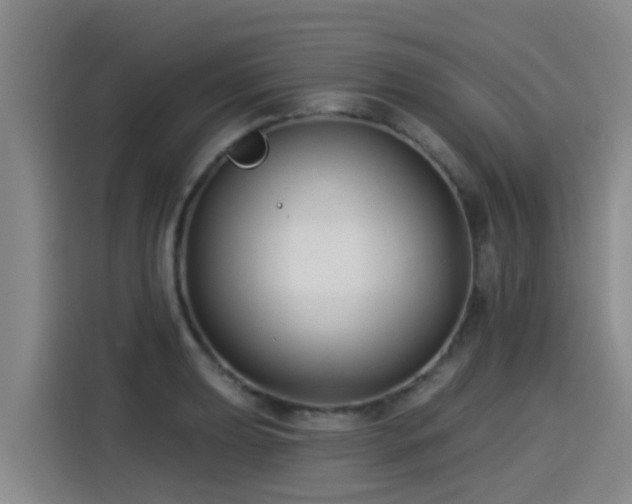 X0000115251039200911061214
