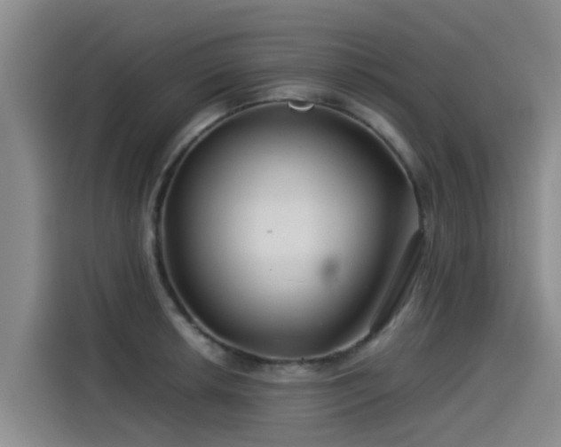 X0000115251042200911061214