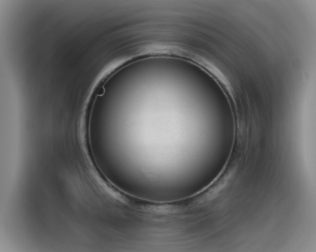 X0000115251045200911061214