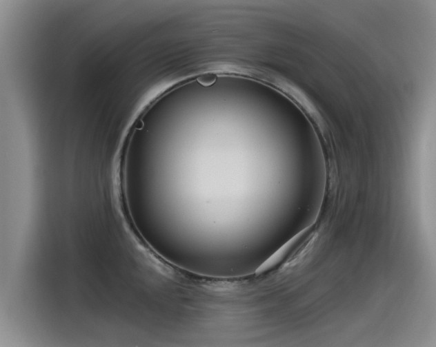 X0000115251048200911061214