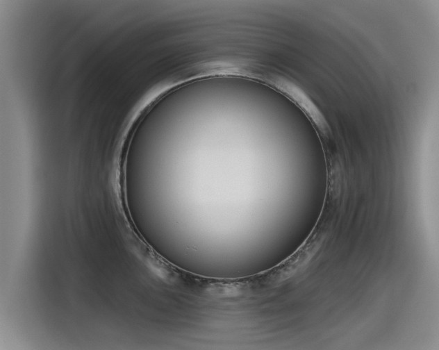 X0000115251051200911061215