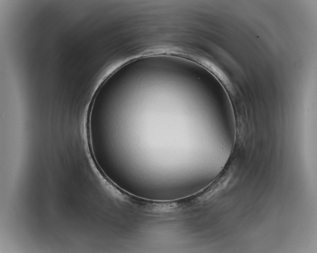 X0000115251055200911061215