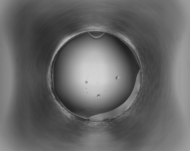 X0000115251056200911061215