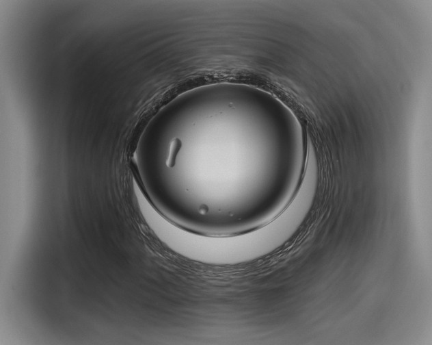 X0000115251060200911061214