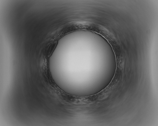 X0000115251061200911061214