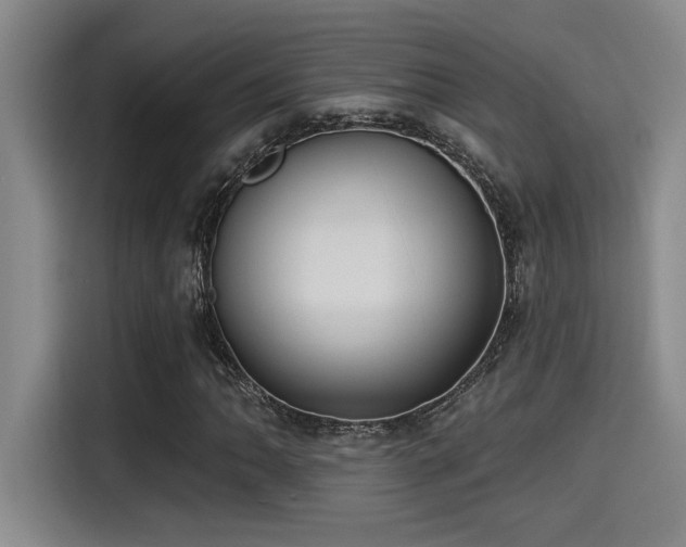 X0000115251062200911061214