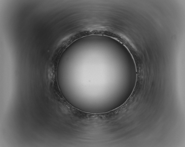 X0000115251063200911061214