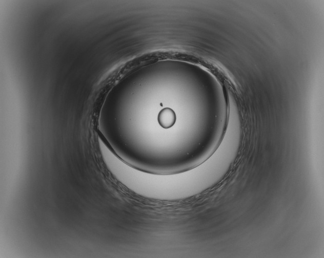 X0000115251064200911061214
