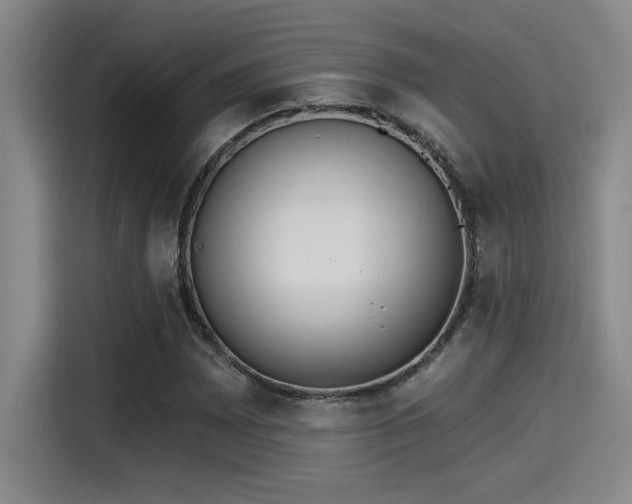 X0000115251065200911061214