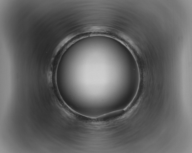 X0000115251066200911061214