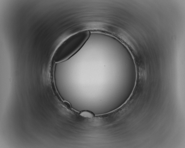 X0000115251068200911061214