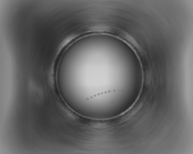 X0000115251071200911061214